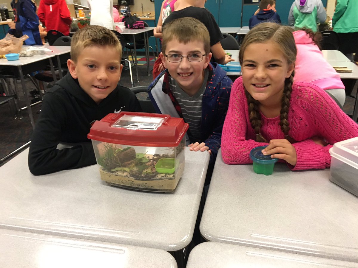 kgregorsok's tweet photo. We are having a blast making terrariums to learn about ecosystems! #OtsegoKnights https://t.co/mZPqJrYErL