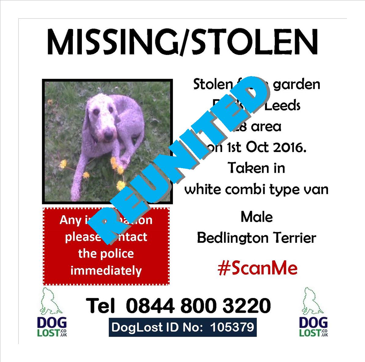 REUNITED - Happy to say this boy is now back home with his very happy owner. Thank you for RT's doglost.co.uk/dog-blog.php?d…