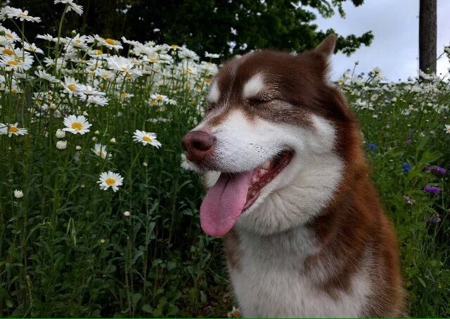 EMILIANODENICA's tweet photo. La felicidad es primordial.
#EmilianoFlores https://t.co/iRyGsj4Wpo