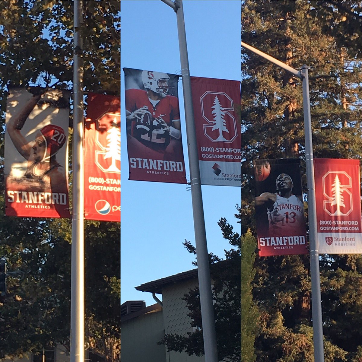 Stanford Women’s Water Polo (@stanfordh2opolo) on Twitter photo .<a href="/GoStanford/">Stanford Cardinal 🌲🤓</a> ads on El Camino. 2x POY <a href="/annikamdries/">Annika Dries</a> in great company with #1 draft picks @Chiney321 & Andrew Luck .<a href="/GoStanford/">Stanford Cardinal 🌲🤓</a> ads on El Camino. 2x POY <a href="/annikamdries/">Annika Dries</a> in great company with #1 draft picks @Chiney321 & Andrew Luck