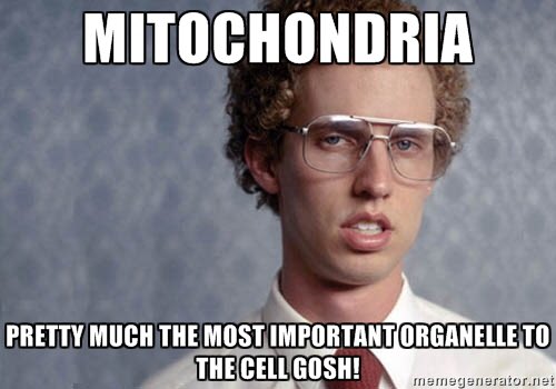 MrsLoriHouse's tweet image. #study #cellstructureandfunction #testtomorrow