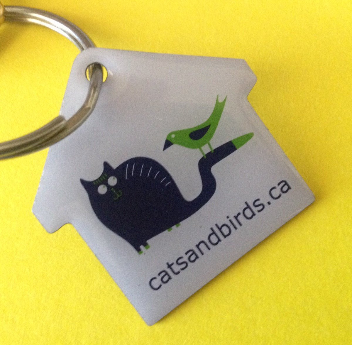 Take the pledge, tick the email box and you'll get an offer for a free collar-tag!! catsandbirds.ca/take-the-pledge