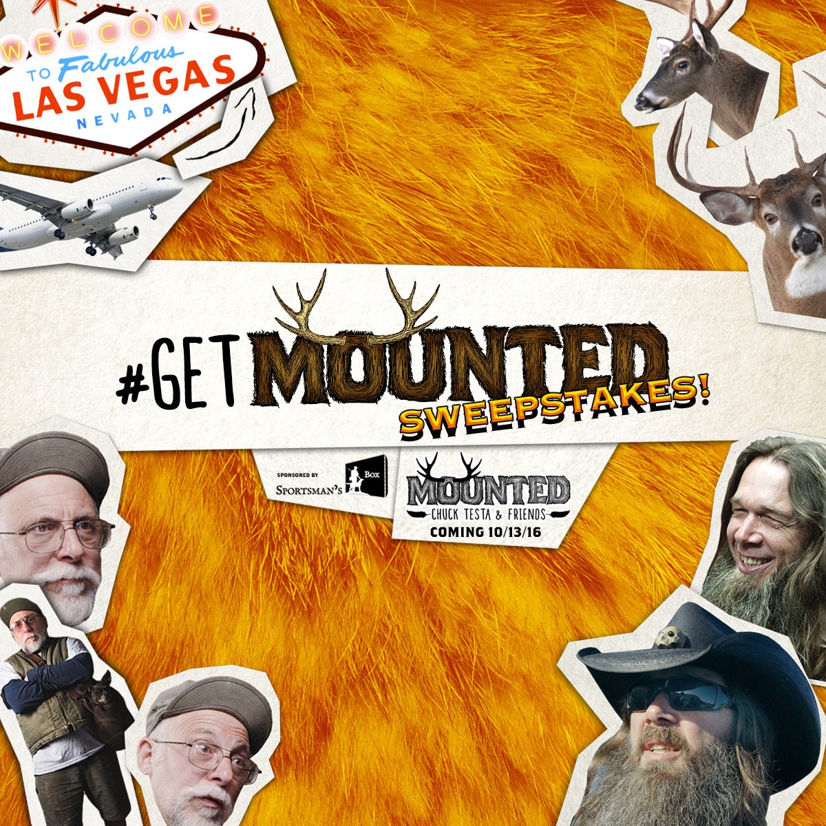 OjaiTaxidermy's tweet image. Want to meet me in person? #GetMounted #Chucktesta @CarbonTV youtube.com/watch?v=BEJRUZ…