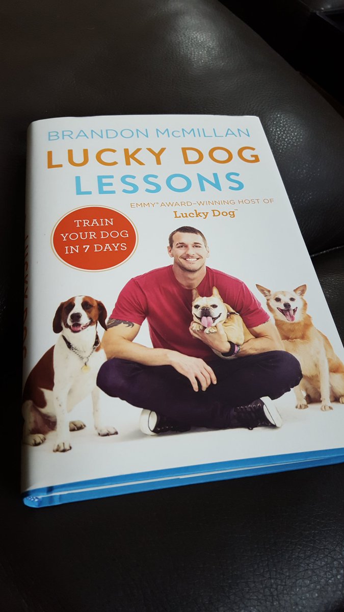KatFuoss's tweet image. It came today, so excited to start reading # lucky dog #luckydoglessons Thank you @BrandonMcMillan My terror, I mean terrier NEEDS this bad!