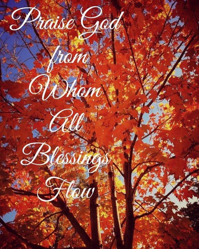 Are you praising God today? #PraiseHimInTheStorm #AWidowsMight #widow