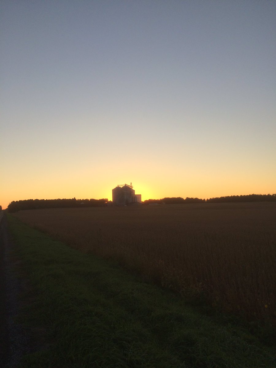 JoshJaquemet's tweet photo. Tis' the season @southwestaginc #JaquemetFarms #harvest2016 https://t.co/dFI7lldEic