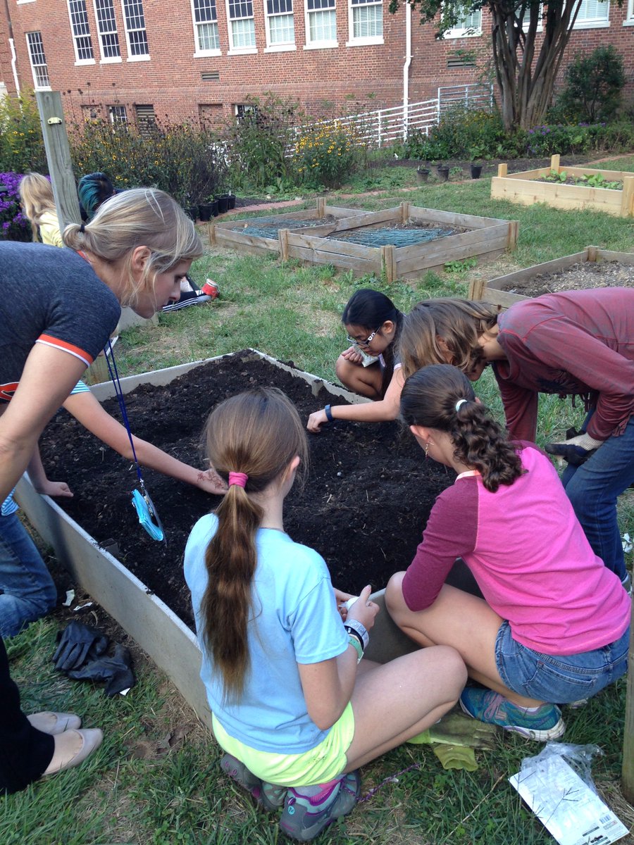 SSIMS_SCES_OC's tweet photo. Ms. Frank and the SSIMS Green Team planted vegetables this afternoon.  #SSIMSGreenTeamsRocks https://t.co/Ch6m59L6TL