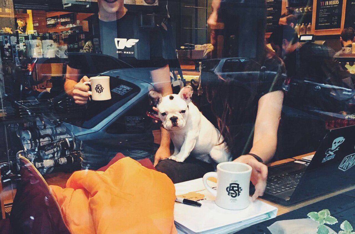 allsaintscafe's tweet photo. Las tardes en #allsaintscafe. Puppies, amigos y ricos cafés! Come join us! #🐶 #simona #coffee https://t.co/bypYHxJRjz