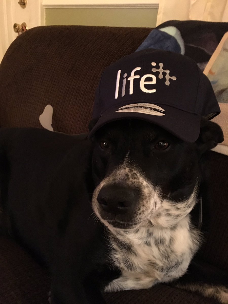 knourigat's tweet image. Sportin' the cap. @smartcaponline #LifeComp #HomeSafeEveryDay