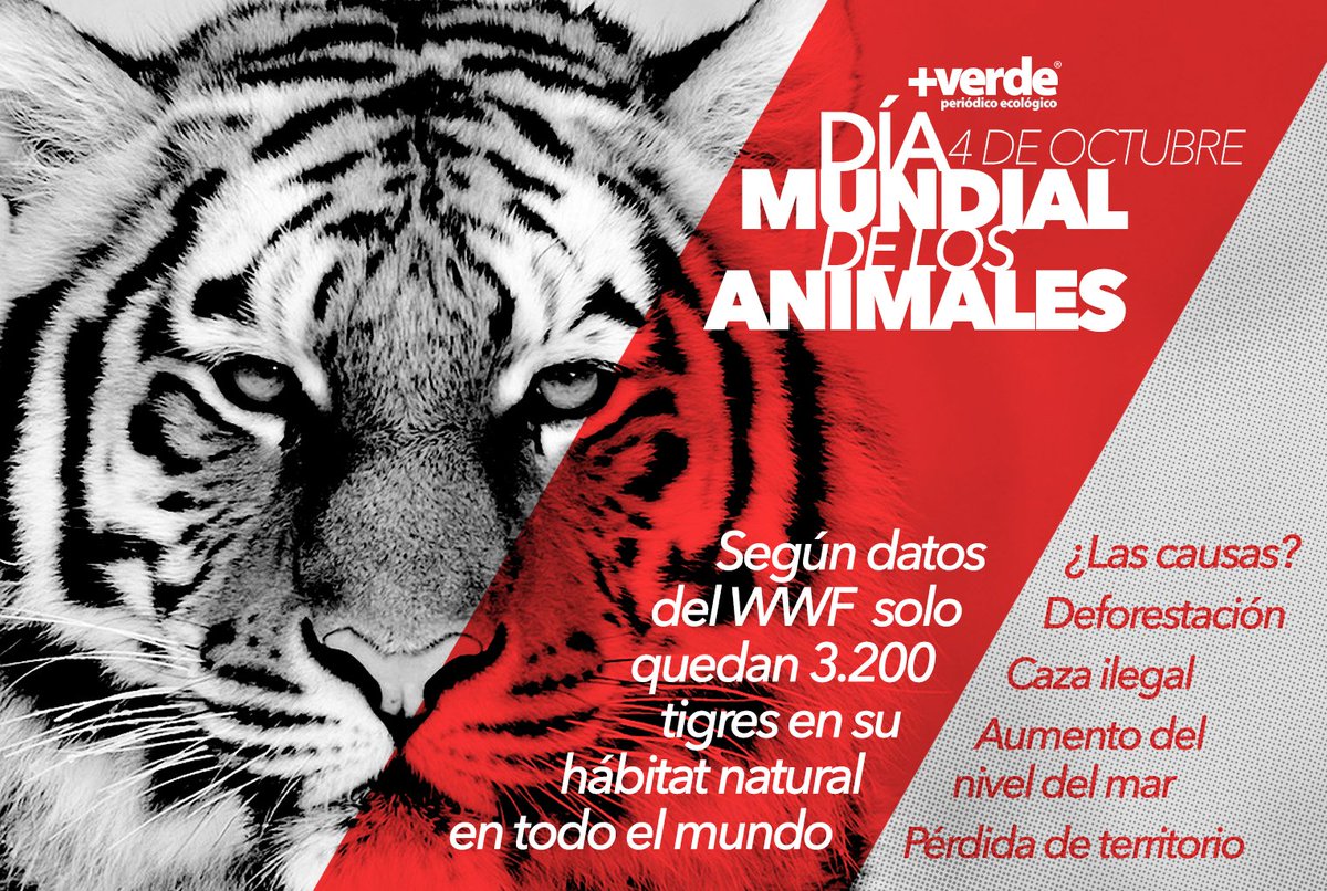 Grito_Animal tweet picture