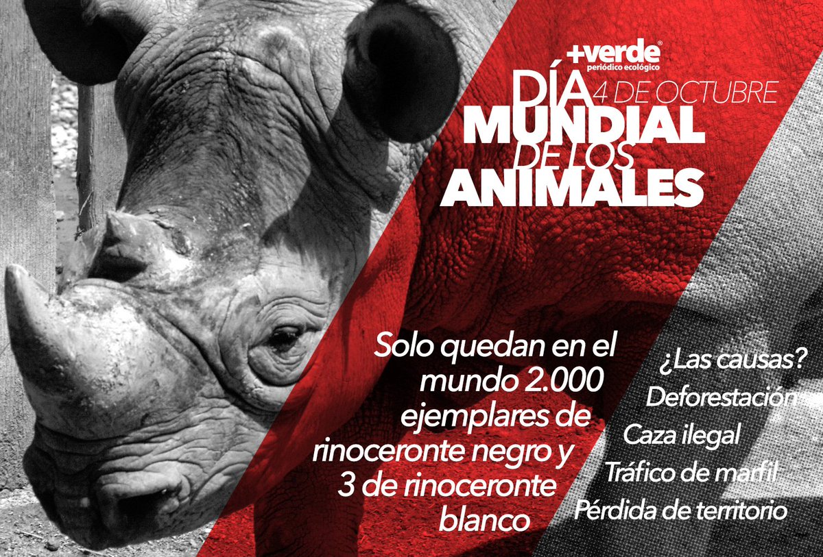 Grito_Animal tweet picture