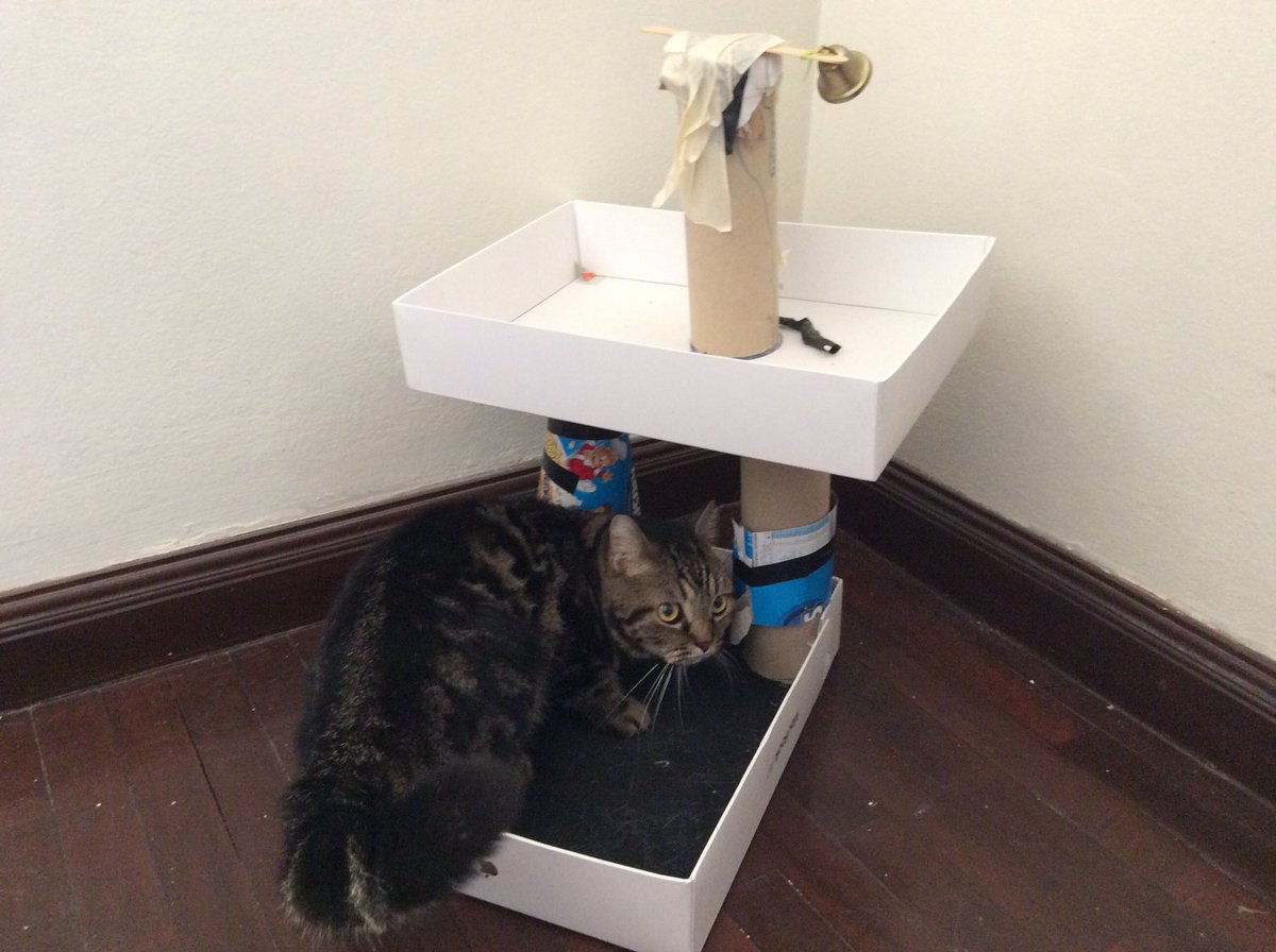 Y6NIST's tweet photo. #CE6HM #myprototype from #lp6hm @NISTSchool
My cat Happy LOVES it. https://t.co/tHW2lchVek