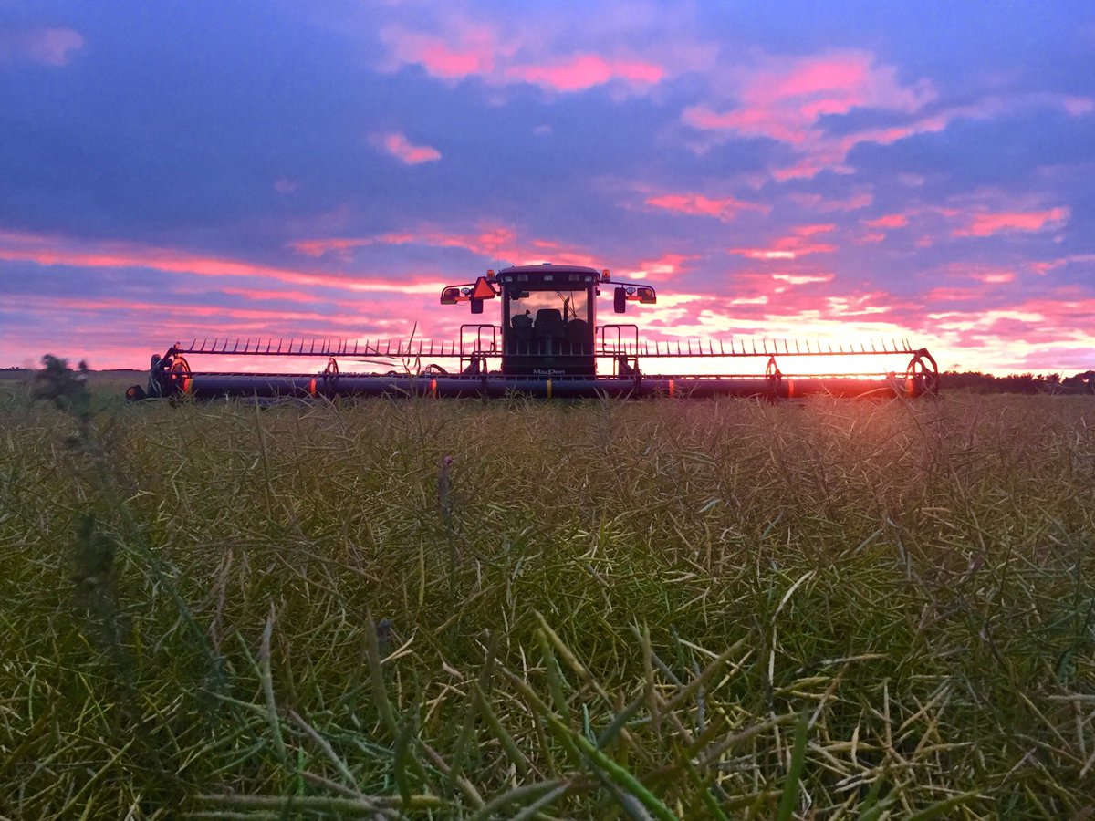 Harvest 2016 <a href="/westernproducer/">The Western Producer</a> <a href="/TractorFitness/">Tractor Fitness</a>