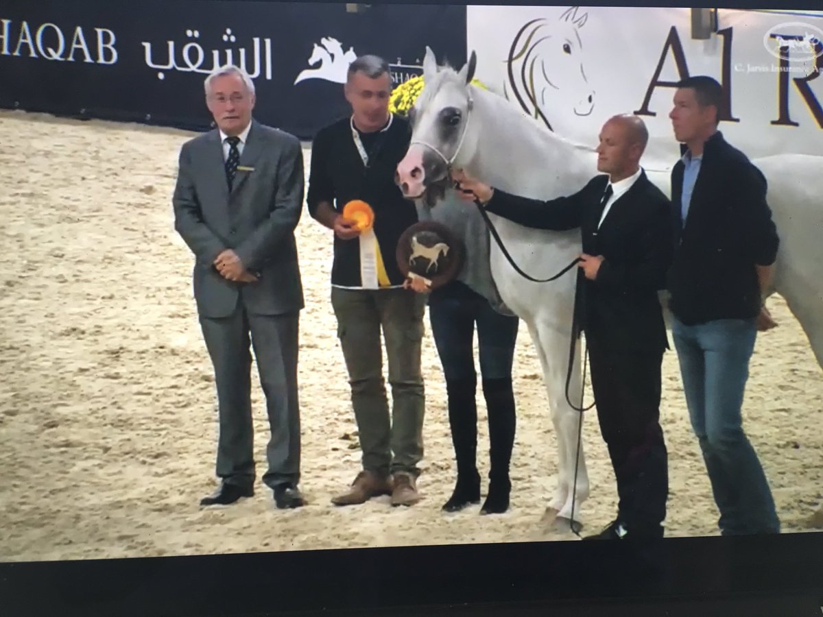 Al Shira'aa Stables tweet media