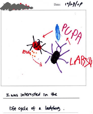 atkauffman's tweet photo. Sketching what you observe, great thoughts on how this can impact student thinking #k12artchat #steam #gcslearn https://t.co/AeC3Pe1Y8c https://t.co/6HFVUqTX86