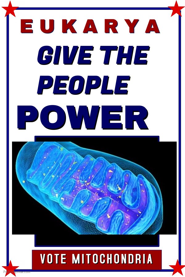 mito_4_prez2016's tweet photo. vote #mito2016 @murphyapbio https://t.co/vW2IonqDjv