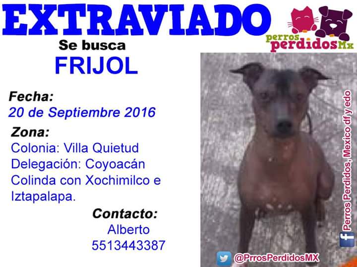 hoyanalizante's tweet image. @genarolozano Genaro, me ayudas con un RT, se extravió mi compañero de vida.