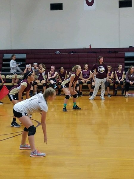 CoachMerlinMJH's tweet photo. It's a clean sweep for MJH volleyball!!! All 4 teams clinched victories over Willow Wood tonight! https://t.co/5Ss3hQqTwp