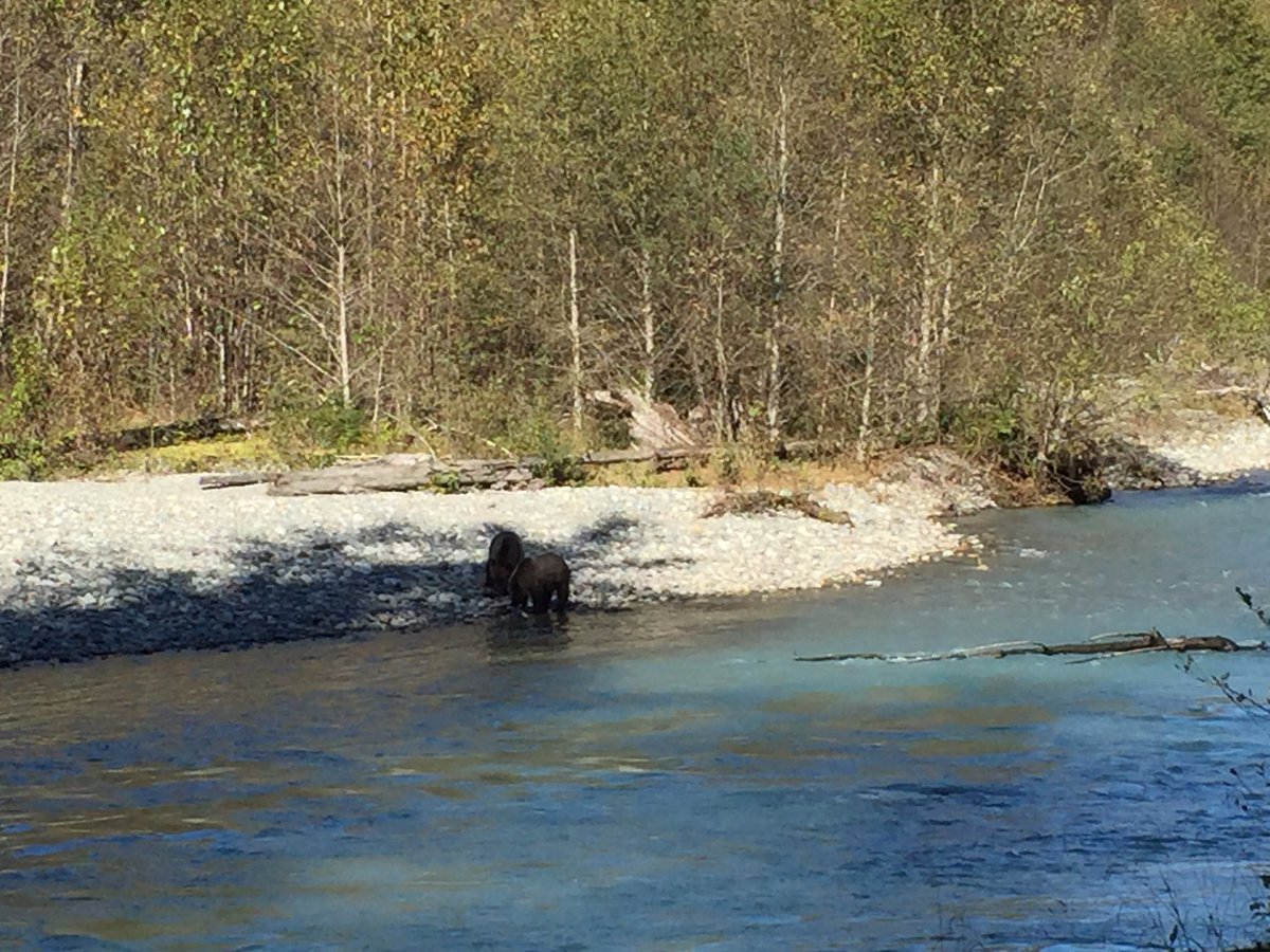 Mark van Eeuwen tweet media