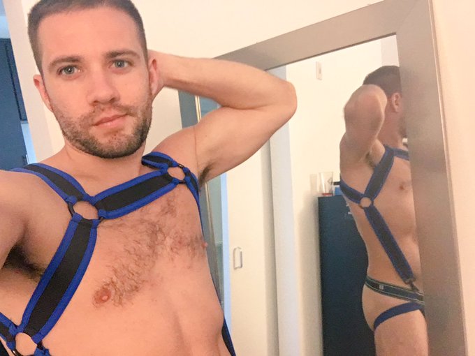 What do you guys think of the new @cellblock13LA harness ? ? https://t.co/cIk3Ahmfo7
