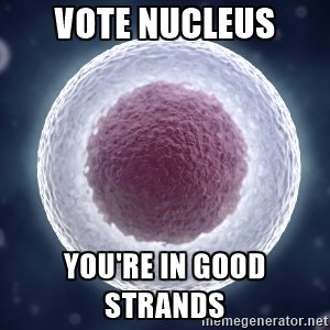 nuclei2k16's tweet photo. @murphyapbio https://t.co/nIsMnnqASC