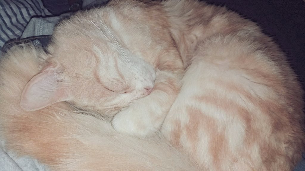 HeckersJorge's tweet photo. Que Lindo Verte Descansar ♡ Larry Deybid ♡ Te Amo Hijo ♡ https://t.co/SfggqR6EeG
