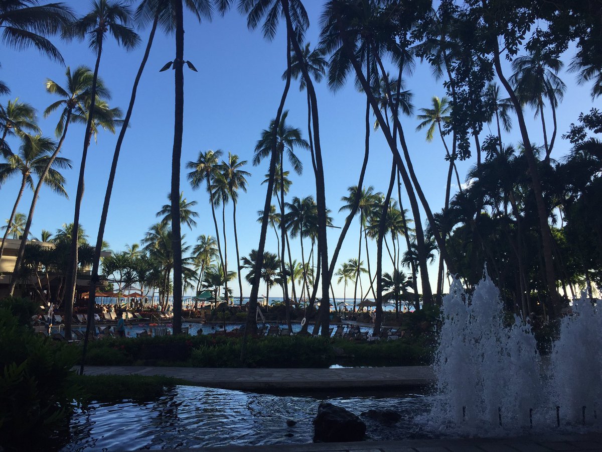 dayrink's tweet photo. HAWAII 🌺🍹 https://t.co/Tp4o4OGHST