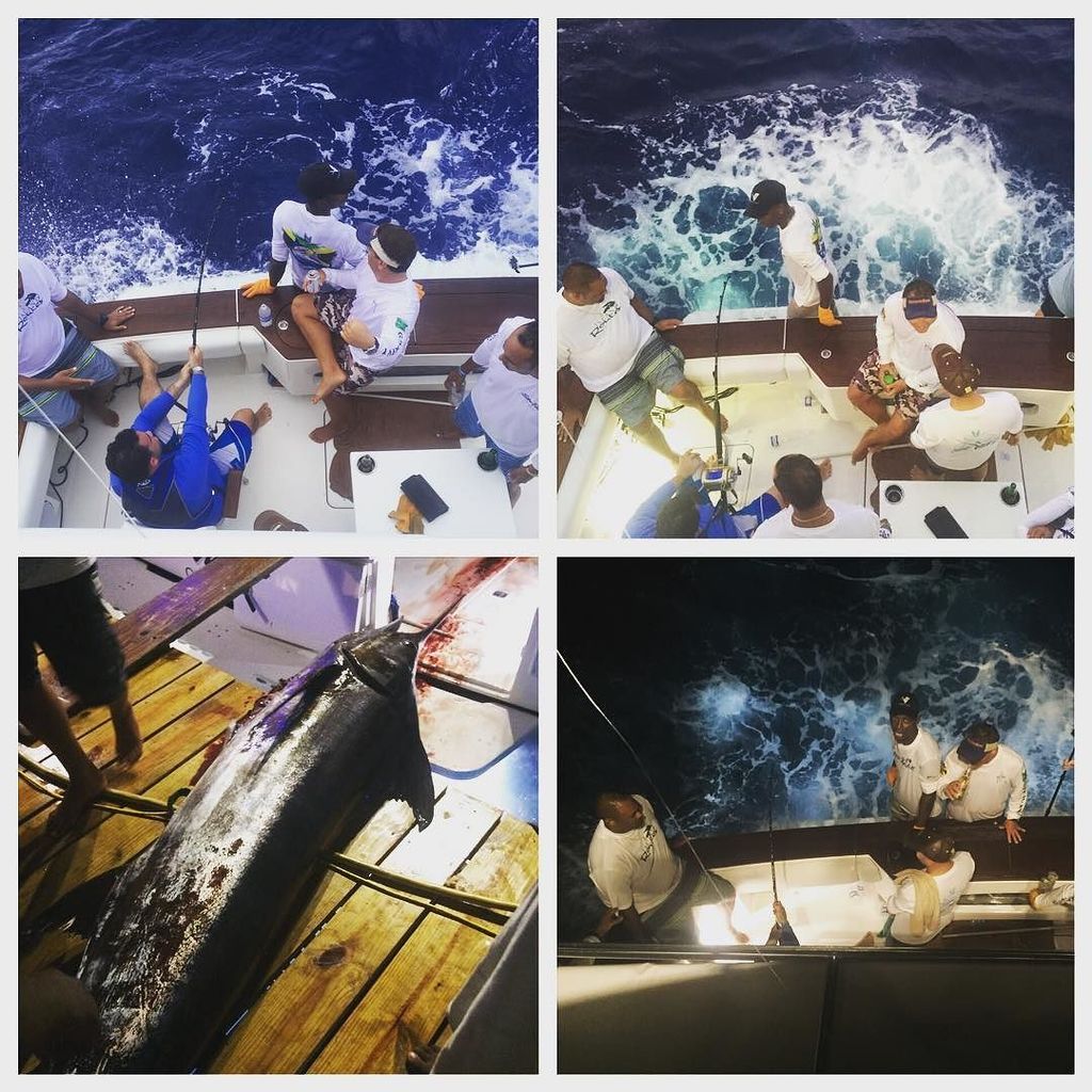 AdamStewart's tweet photo. From day 🌙 to night 🌑 it took #TeamStewFish almost 3 hours to land this Blue Marlin... Est… https://t.co/snhgFmGO3g https://t.co/WClrsjttzx
