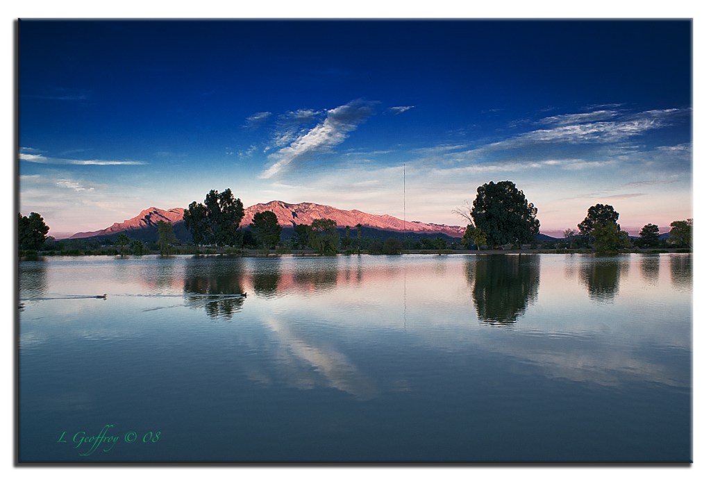 BewleyPatsy's tweet image. #Never Turn Away From Landscaping Tips twitters.online/never-turn-awa…