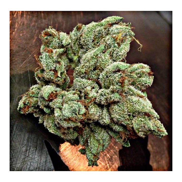 thc_dr's tweet photo. Fire

#Trending #kush #fire #dank #weed #cannabis #weedfeed #highlife #lit #medicalmarijuana #FreshPots #thc #dab https://t.co/iNs2UKaQzK