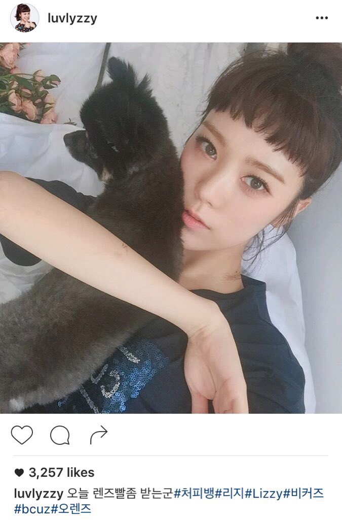 tran_as's tweet photo. Tran | Lizzy:
Today I benefited with contact lens so much #Choppybang #Lizzy #Bcuz #OLens
Cr/ hello_you1 https://t.co/DLApZzjzo4