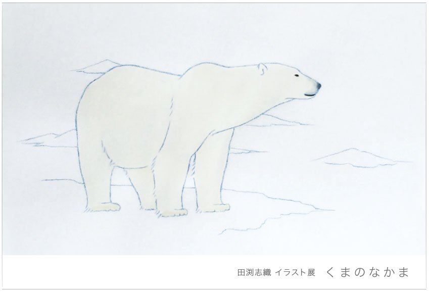 カスタネット On Twitter 田渕志織 イラスト展 くま の なかま なつかしい気持ちになる時間のなかへ 10月7日 金 20日 木 カスタネット 小さな頃から絵を描くのが好きで 気づいたら動物を描くことがおおかったという田淵志織さん初の個展です Https T