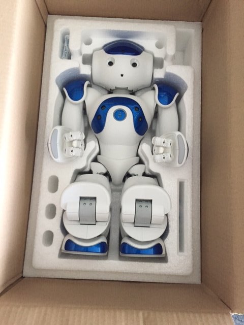 tgau's tweet image. Welcome to #HackathonHamburg little #Nao. We&apos;ll teach you cool stuff. #IBMHackathon
