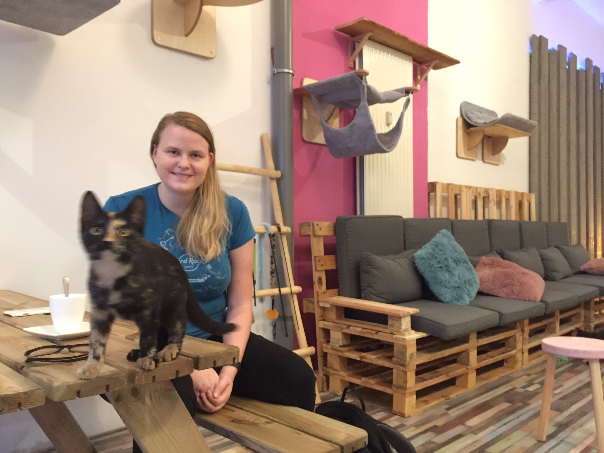 Jelle Gunneweg on Twitter: "De 8 katten zijn de baas in Pebbles Kitty Cat Café aan de Hoogstraat #Rotterdam. Goeie sfeer, speelse kittens, morgen @RTV_Rijnmond https://t.co/cNuH2w9yrW" / Twitter