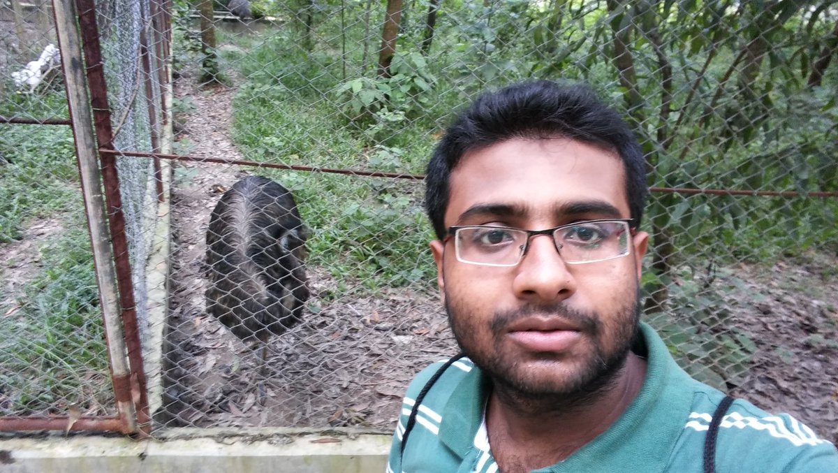 Provakar tweet media