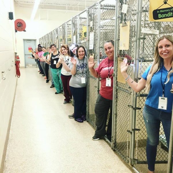 Ch_Unwrapped's tweet photo. Kudos to #ClearTheShelters Campaign for helping 45,000 #pets find new homes in a month! https://t.co/mVtvIjDehi