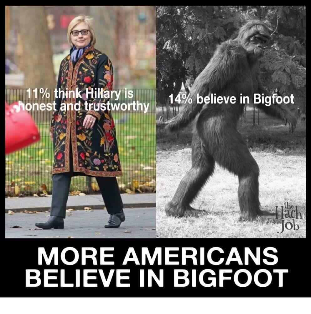 MAKroscopic's tweet photo. #Lol and #Bigfoot has more confirmed sightings on the trail too #WheresHillary #NeverHillary #HillarysTemper #fridayfunday #MAGA #TrumpTrain https://t.co/x4LjQs2EOR