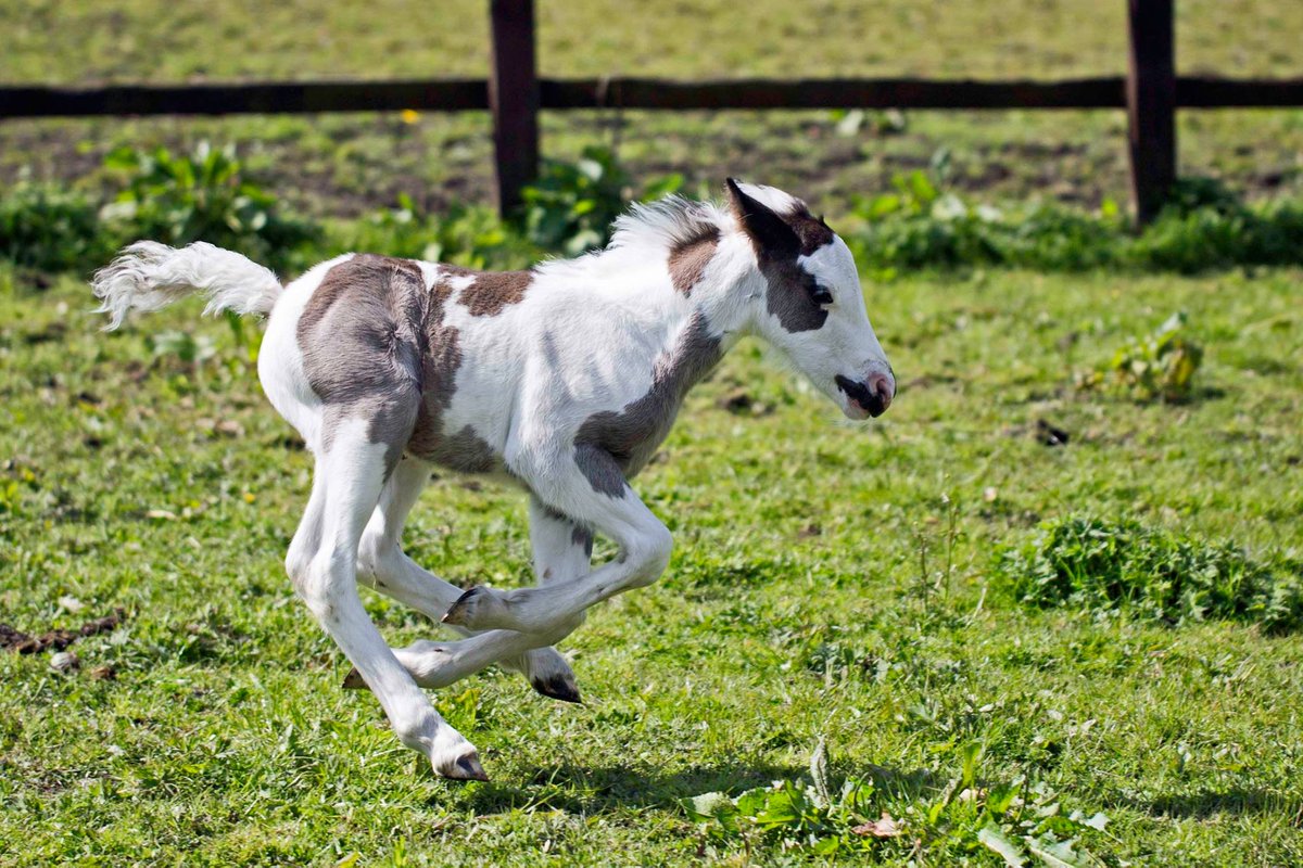 HopePastures's tweet image. Ready for the weekend come and see us we are open 10-3pm #FridayFeeling #Leeds