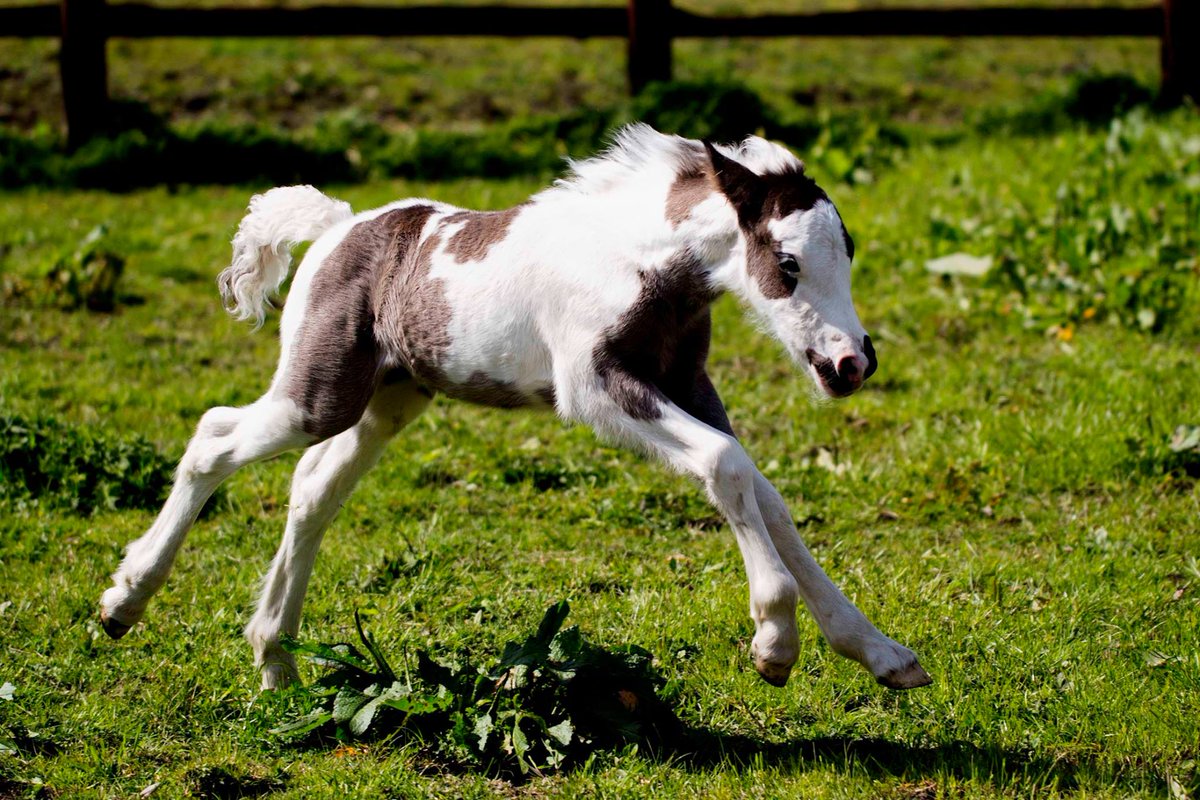 HopePastures's tweet image. Ready for the weekend come and see us we are open 10-3pm #FridayFeeling #Leeds