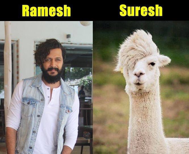Riteish Deshmukh on Twitter: Riteish Deshmukh on Twitter: