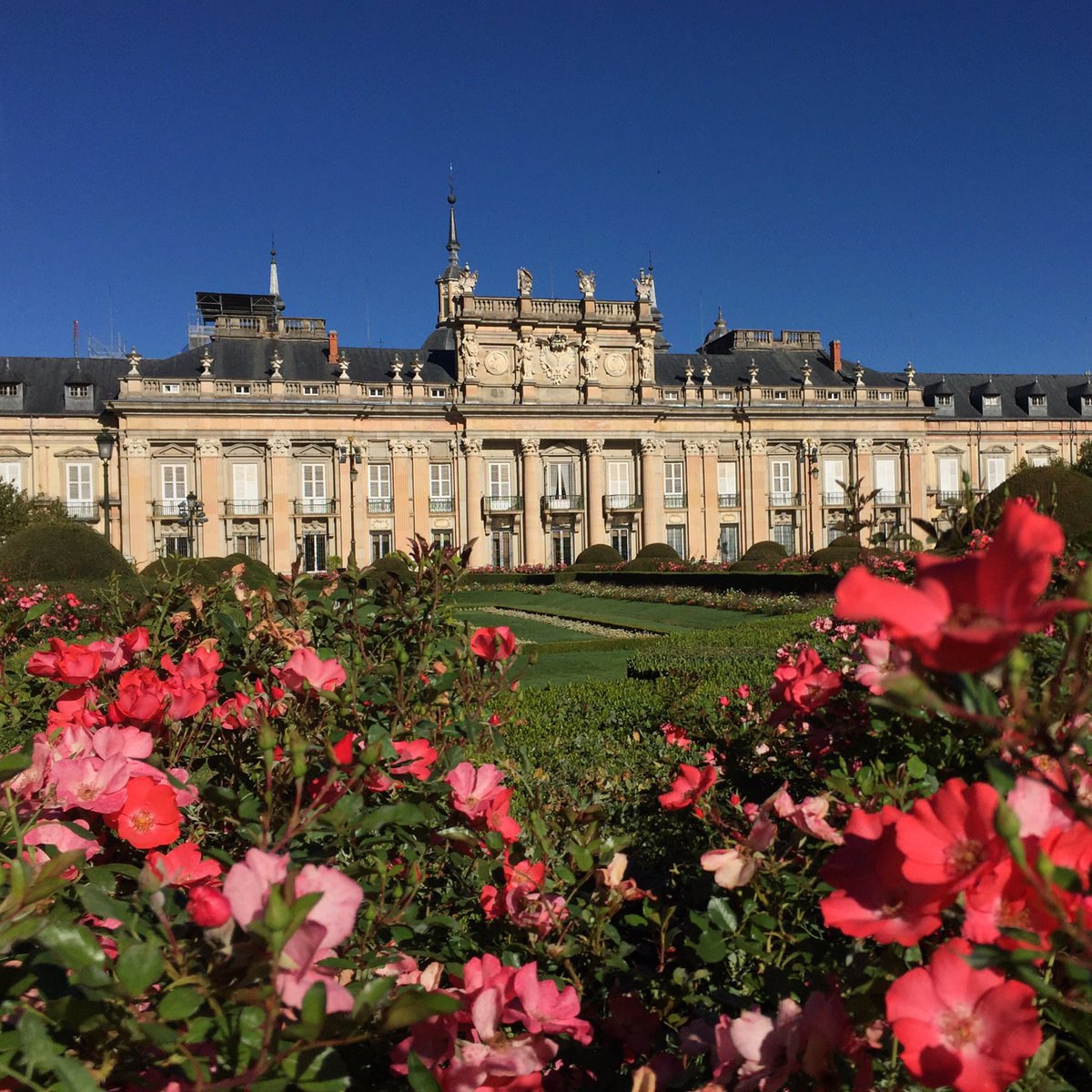 MoraimeT's tweet photo. Jardines de La Granja de San Ildefonso, recibiendo el otoño
#jardinesdelagranja #historicgarden #jardinhistorico #jardin #garden #baroque https://t.co/RkZJOpqkAS