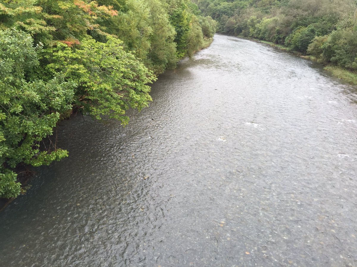ミルファーム清水 浦河町 人口13 000人 のほぼ全域で 使われている水道水について勉強 元浦川 もとうらかわ の清流 荻伏地区の野深 のぶか 浄水場 中央配水池 野深から約km 離れた市街地 各家庭 事業所等 浦河町の水は塩素を加えただけの