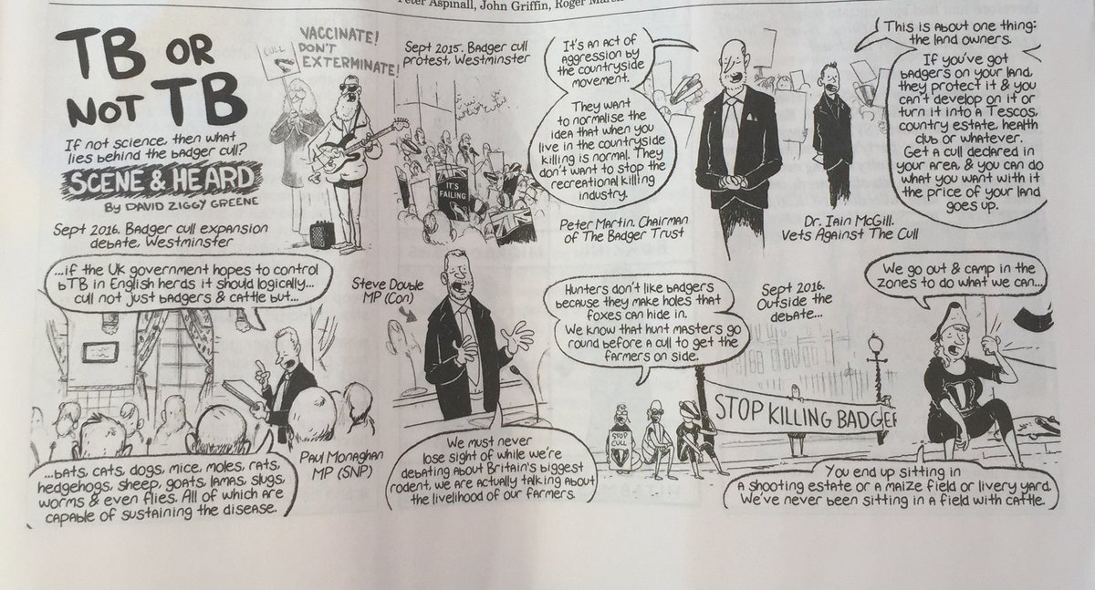 daisy_sells's tweet photo. .. #TBornotTB @PrivateEye @ianhislop #badgers #britishcountryside #countryissues https://t.co/Ng3ae3L7gS