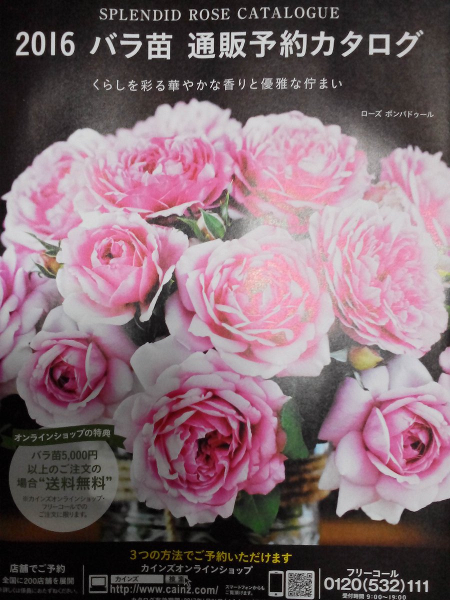 ｃｉｅｌ ａｌｅｎｃｏｎ シエル Pa Twitter 毎年楽しみにしているカインズのバラ苗 カタログ貰ってきた フルカラーでちょっとした図鑑みたいで見ているだけで楽しい ブルーヘブンが好きなバラで ノヴァーリスとセラフィムが気になってるやつ ５０００円で送料無料