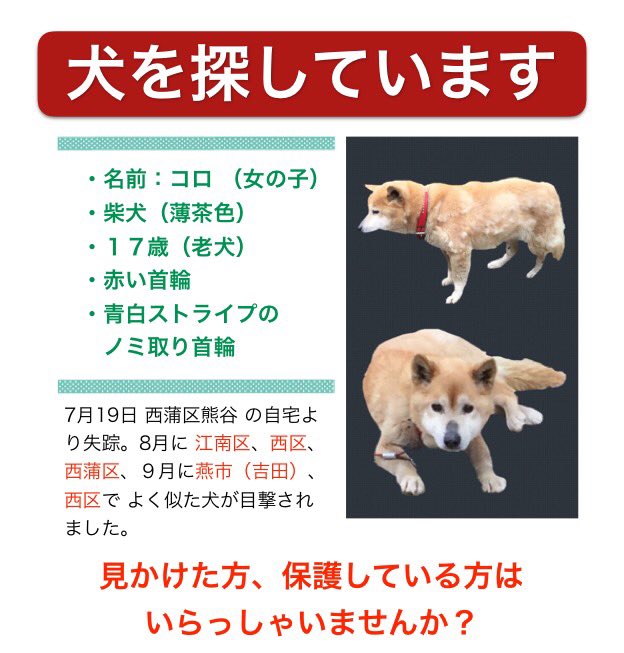 小林 On Twitter 飼い犬が行方不明です 9月 新潟市西区402号線沿いで複数件の目撃情報あり 行方をご存知ないですか 迷い犬 拡散希望 迷子犬 新潟 402号 柴犬