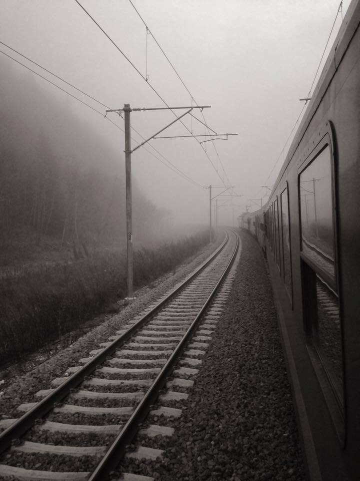 Ziua Libertății de Mișcare
facebook.com/events/3071881…