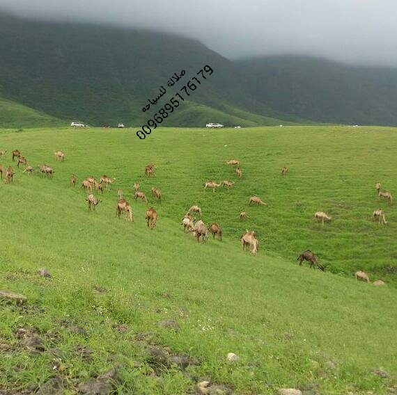 aabbaa446's tweet image. 