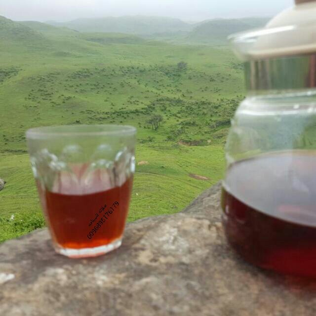 aabbaa446's tweet image. 