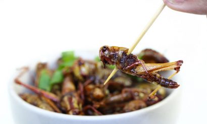 Global edible insects market: Trends &amp; future prospects ow.ly/Jk19304uk4d