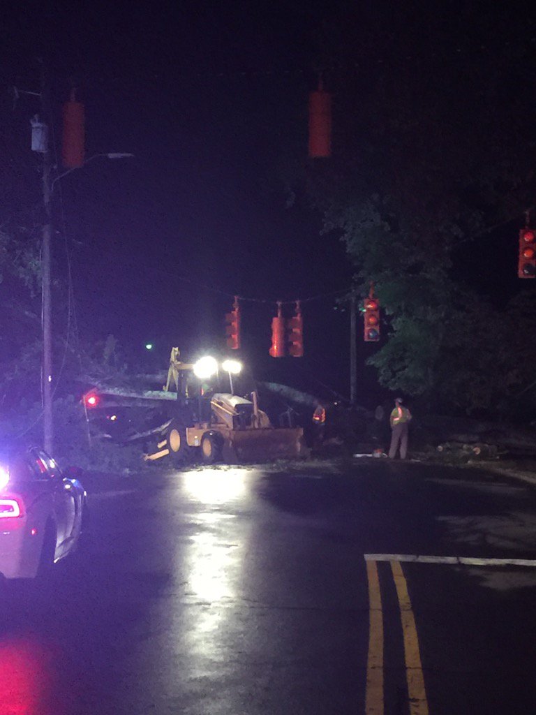 Road Closure- Large Tree fell on passing vehicle. Road Closed. Driver transported to hospital for evaluation.
